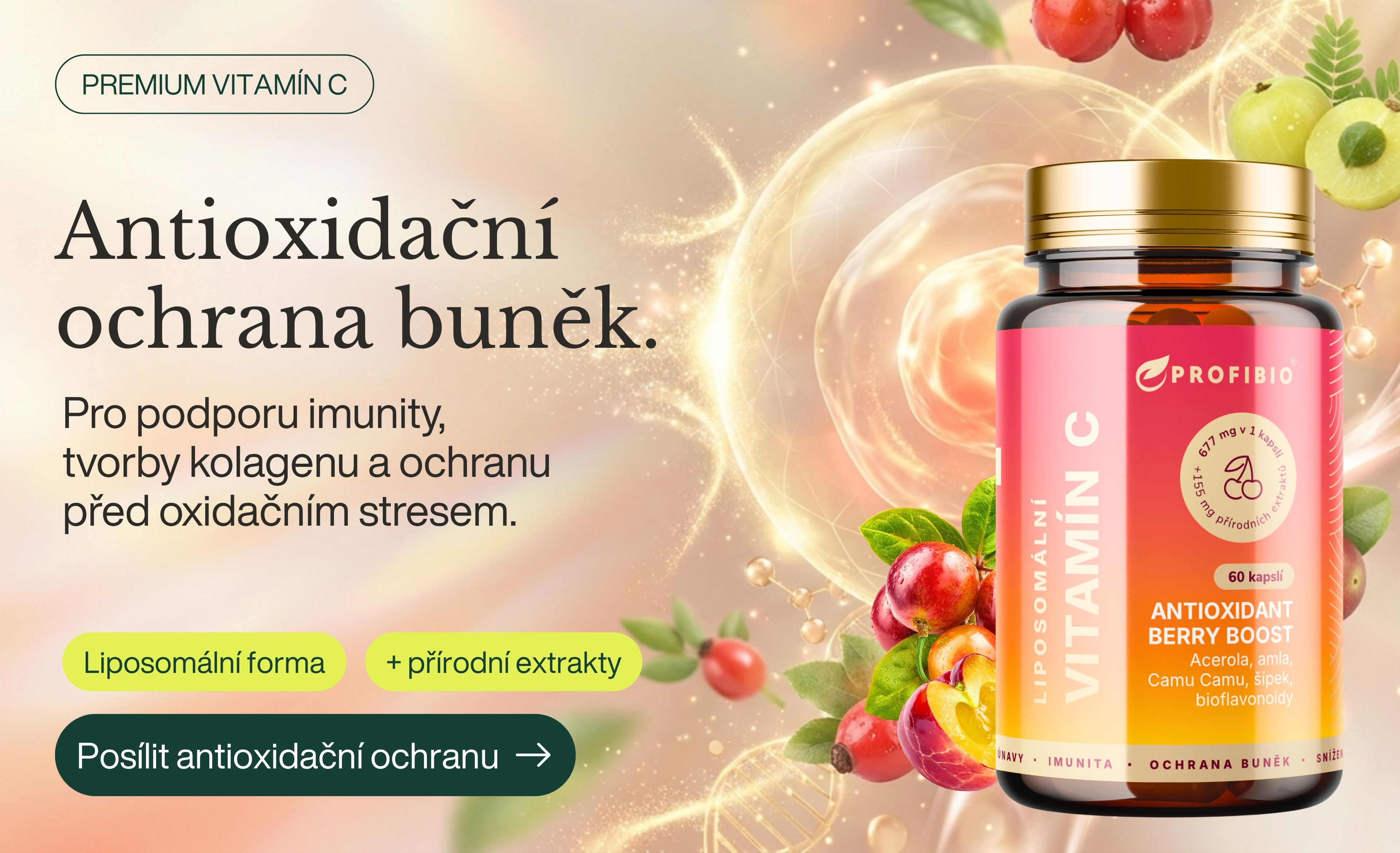 PREMIUM Liposomální Vitamín C 832 mg ANTIOXIDANT BERRY BOOST (+ Acerola, Camu Camu, amla, šípek, bioflavonoidy), Vysoce vstřebatelný, 60 kapslí